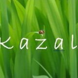 kazal