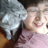 岸やよい 　合歓工房