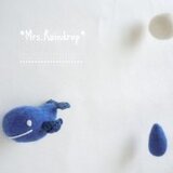 Mrs.Raindrop