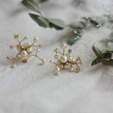 カスミソウの星座ピアス