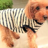 シンプルアランボーダーニット　ネイビー　