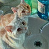 お水ちょうだい