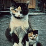 親子でハイチーズ