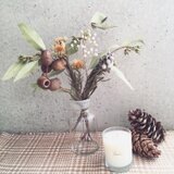 アフリカンプランツアソートb