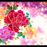 パスケース【牡丹／1】