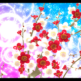 パスケース【梅】