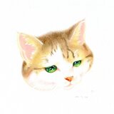 マザーかおる。