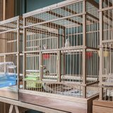 木と竹の鳥かご【サイズオーダー可能です】の画像