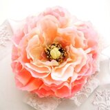 入園入学卒業、結婚式に華やかピオニー・オレンジピンク