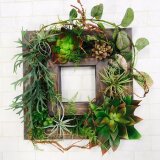 多肉プランツ　アレンジメント