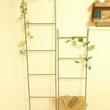 【アイアンラダー✨H135cm】