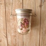 春色ジャーランプ(S)