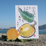 カタツムリのハガキたて～みかんの木のクラフトシリーズ～の画像