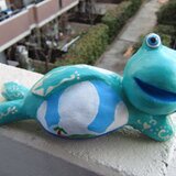 なまけ蛙くんフェデリコ