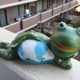 なまけ蛙くんマリオ