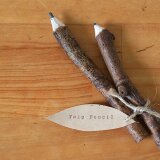 小枝のえんぴつ