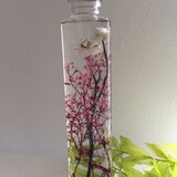 大人のハーバリウム*･゜ﾟ･*:.｡..｡.:*･'