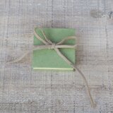 小さな旅アルバム　アップルグリーン