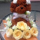 トピアリー    オーダー