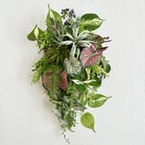 Green hanging basket V