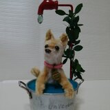 しずくシリーズ柴犬♪