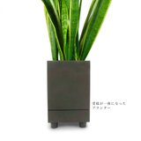 受皿が一体になったプランター