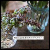 tokonaoiさま　専用オーダーメイド