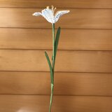 ラタン（籐）の花　～白いユリ～