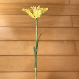 ラタン（籐）の花　～黄色のユリ～