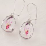 標本 ピアス しずく 〈ピンクのさかな〉