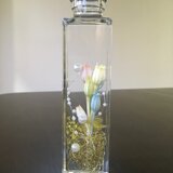 フローレンティナ　☆*。ハーバリウム 植物標本 インテリア☆*。