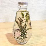 スターチス　☆*。ハーバリウム 植物標本 インテリア☆*。