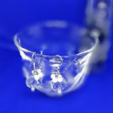 クリアビーズとマザーオブパールの夏満載シルバーピアス