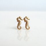 小さなシーホースのスタッドピアス