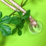 レースで結ぶ♪　キラキラガラスのわっかペンダント