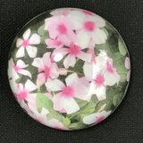 ✨くるみ工房は、ホテル日航新潟様へ納めさせて頂いてます✨実用新案技術  磁石一体ガラスペーパーウエイト