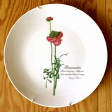 ラナンキュラスのやさしい陶器の壁掛け絵皿(30cm) 送料無料の画像