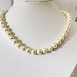 6月誕生石★卒業・入学式★貝パール白の8ｍｍ粒のネックレス♪★の画像