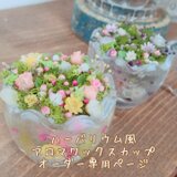 アロマワックスカップ  オーダーページ