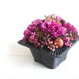arrangement-vio
