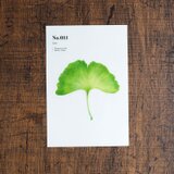 No.011 Icho 透明ステッカー