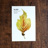 No.012 Sakura Bug-eaten leaf