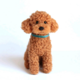 小さいけれどトイプードル(レッド)