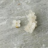 本物のお花のイヤーカフセット ホワイト