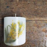 ボタニカルキャンドル　ミモザ001
