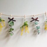 ミモザとユーカリのドライガーランド