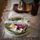 ボタニカルシャーレ 【Relax in forest】の画像