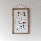 ｱﾝﾃｨｰｸﾊﾟﾈﾙ　Q-31