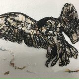 ミミズク/take wings