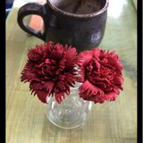 革カーネーション赤の画像